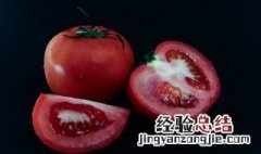 番茄种子怎么种植方法 番茄种子怎么种植方法视频