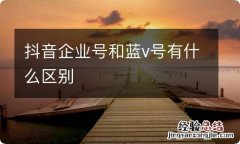 抖音企业号和蓝v号有什么区别