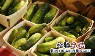 黄瓜种子的种植方法 黄瓜种子怎么种植方法