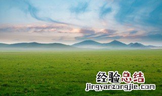 牛羊饲料保质期一般多久 牛羊饲料储存在地窖里怎么做