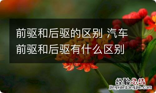 前驱和后驱的区别 汽车前驱和后驱有什么区别