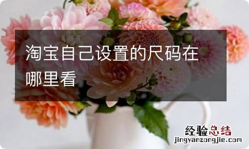 淘宝自己设置的尺码在哪里看