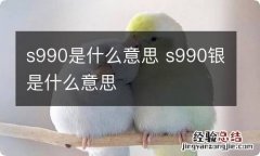 s990是什么意思 s990银是什么意思