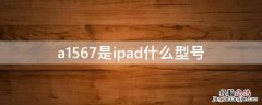 a1567是ipad什么型号