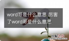 word哥是什么意思 厉害了word哥是什么意思