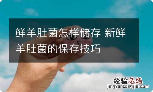 鲜羊肚菌怎样储存 新鲜羊肚菌的保存技巧