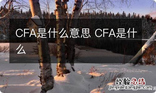 CFA是什么意思 CFA是什么