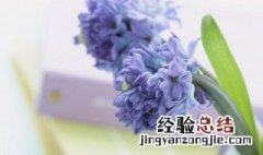 6月的朋友圈怎么发说说文案 6月的朋友圈怎么发说说