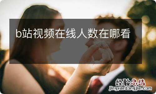 b站视频在线人数在哪看