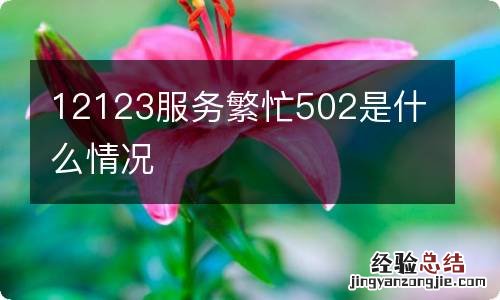 12123服务繁忙502是什么情况