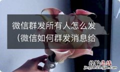 微信如何群发消息给所有人 微信群发所有人怎么发