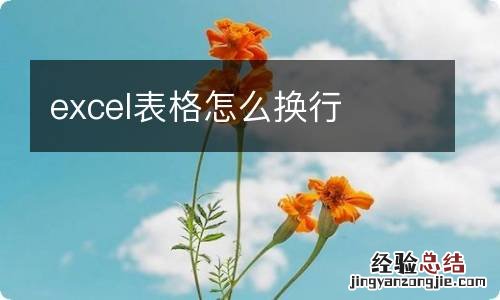 excel表格怎么换行