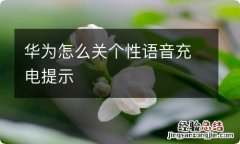 华为怎么关个性语音充电提示