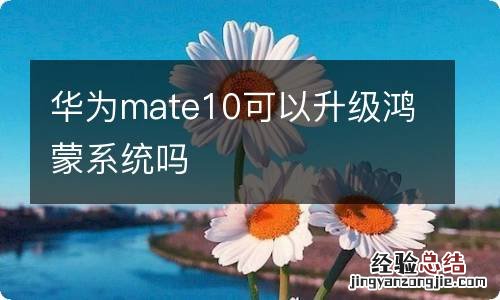 华为mate10可以升级鸿蒙系统吗