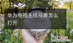 华为电视无线投屏怎么打开