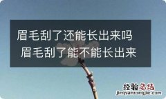 眉毛刮了还能长出来吗 眉毛刮了能不能长出来