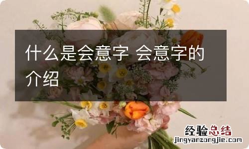 什么是会意字 会意字的介绍