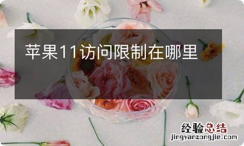 苹果11访问限制在哪里