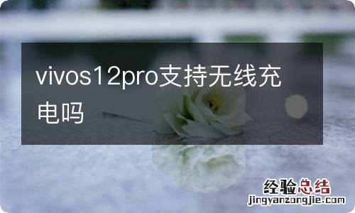 vivos12pro支持无线充电吗