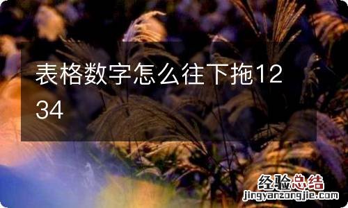 表格数字怎么往下拖1234