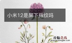 小米12是屏下指纹吗