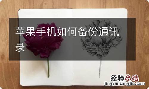 苹果手机如何备份通讯录