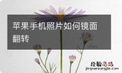 苹果手机照片如何镜面翻转