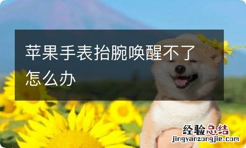 苹果手表抬腕唤醒不了怎么办