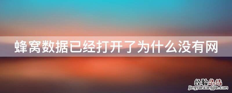 蜂窝数据没法打开 蜂窝数据已经打开了为什么没有网