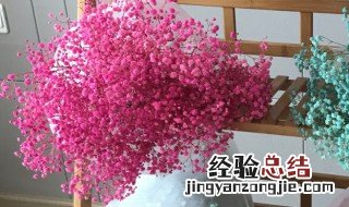 家里摆放满天星干花好不好 满天星干花放在客厅里合适吗