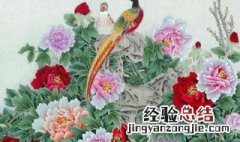 花开富贵五行属什么 花开富贵忌讳什么属相