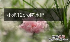 小米12pro防水吗