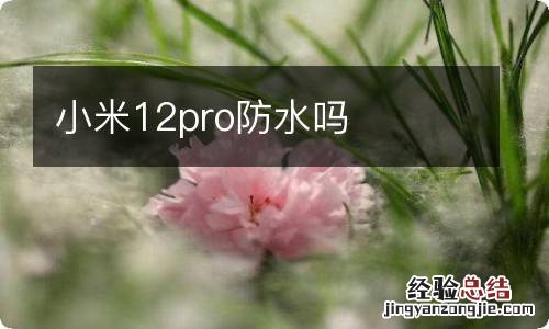 小米12pro防水吗