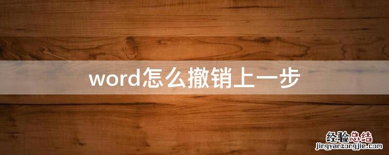 word怎么撤销上一步 word怎么撤销上一步操作