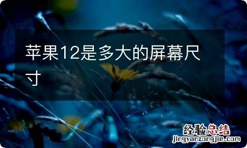 苹果12是多大的屏幕尺寸