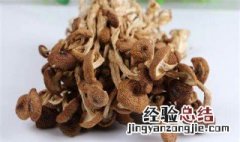 茶树菇怎么泡才会软 干的茶树菇怎么泡不硬