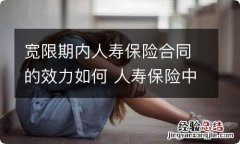 宽限期内人寿保险合同的效力如何 人寿保险中的宽限期