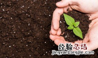 酸性土壤改良方法用什么肥 酸性土壤改良方法需要加碱性肥是吗