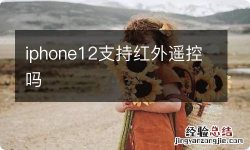 iphone12支持红外遥控吗