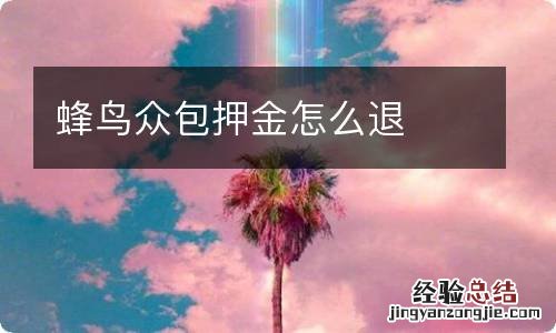 蜂鸟众包押金怎么退