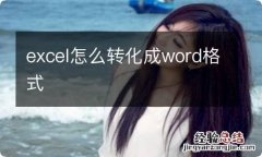 excel怎么转化成word格式