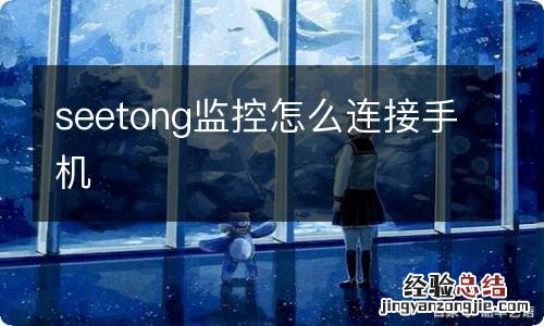 seetong监控怎么连接手机