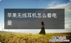 苹果无线耳机怎么看电量