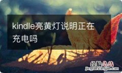 kindle亮黄灯说明正在充电吗