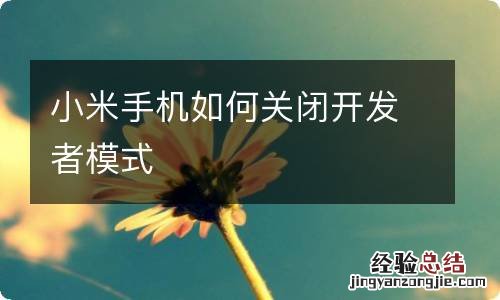 小米手机如何关闭开发者模式