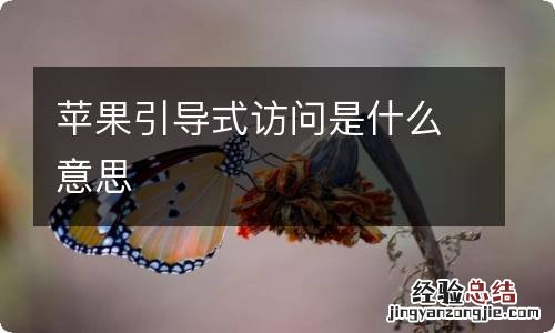 苹果引导式访问是什么意思