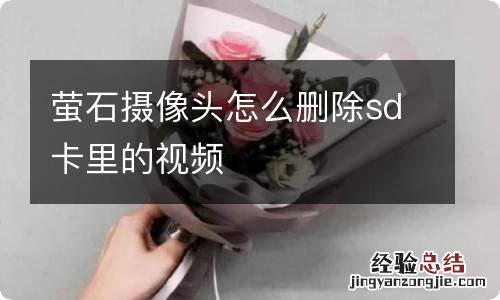 萤石摄像头怎么删除sd卡里的视频