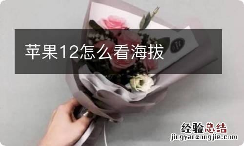 苹果12怎么看海拔