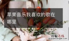 苹果音乐我喜欢的歌在哪里