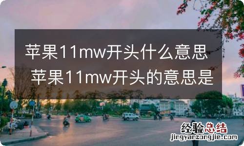 苹果11mw开头什么意思 苹果11mw开头的意思是什么